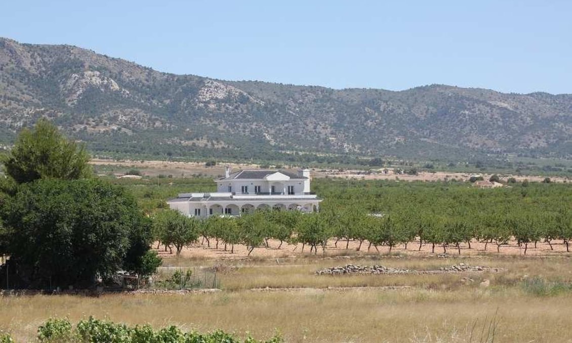 Obra nueva - Villa -
Pinoso - Camino Del Prado