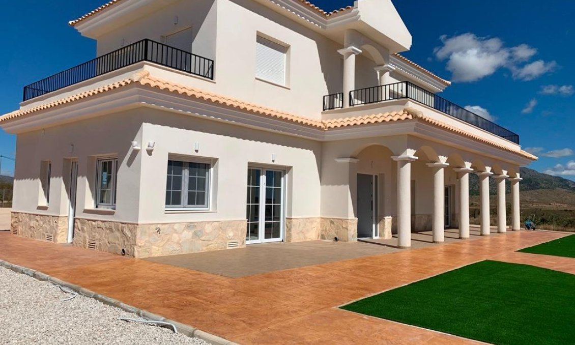 Obra nueva - Villa -
Pinoso - Camino Del Prado