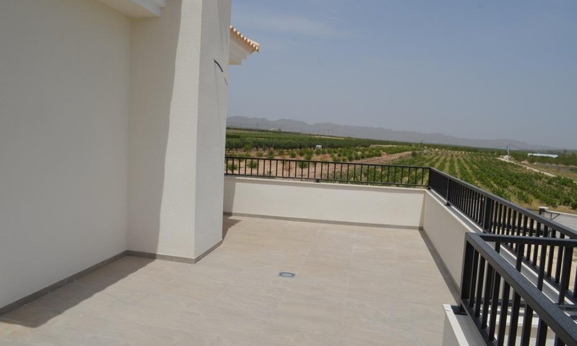 Obra nueva - Villa -
Pinoso - Camino Del Prado