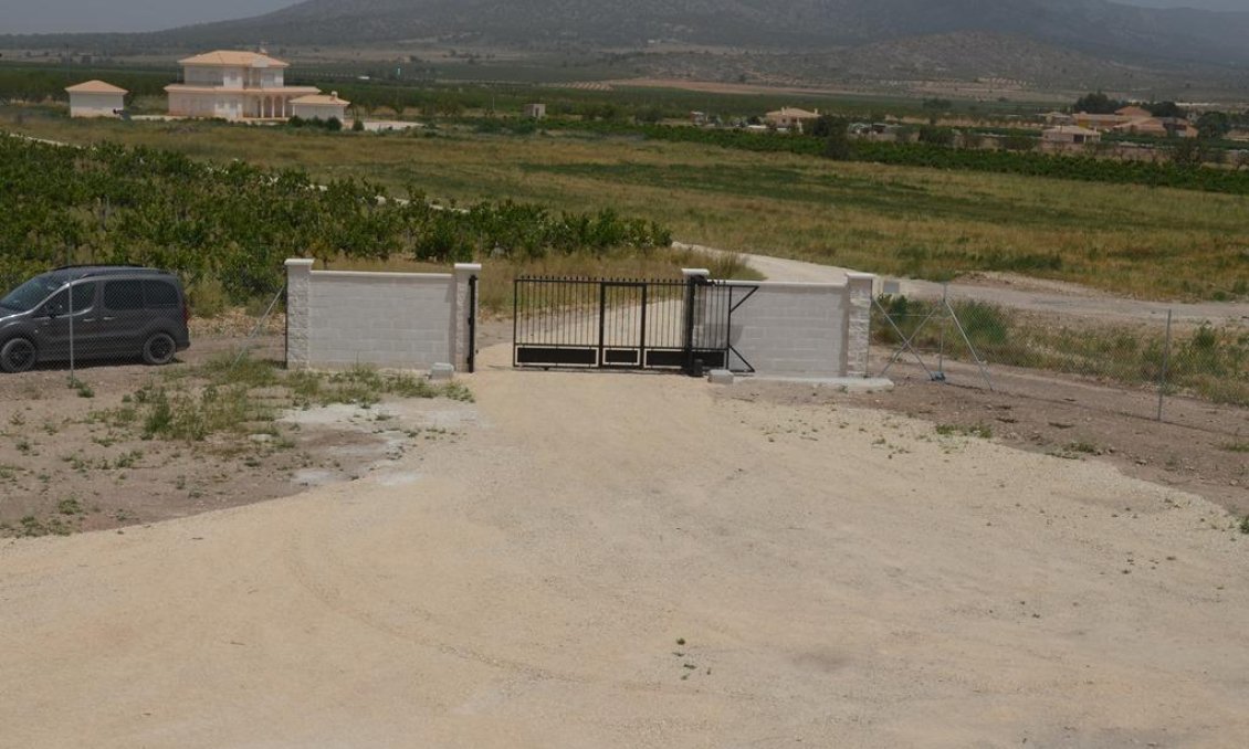 Obra nueva - Villa -
Pinoso - Camino Del Prado