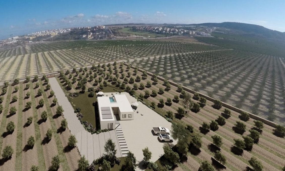 Obra nueva - Villa -
Algorfa - Lomas De La Juliana