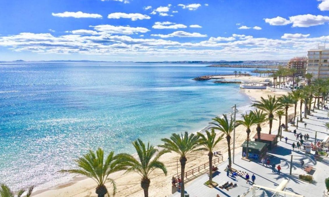 Új építésű - Villa -
Torrevieja - Lago Jardín II