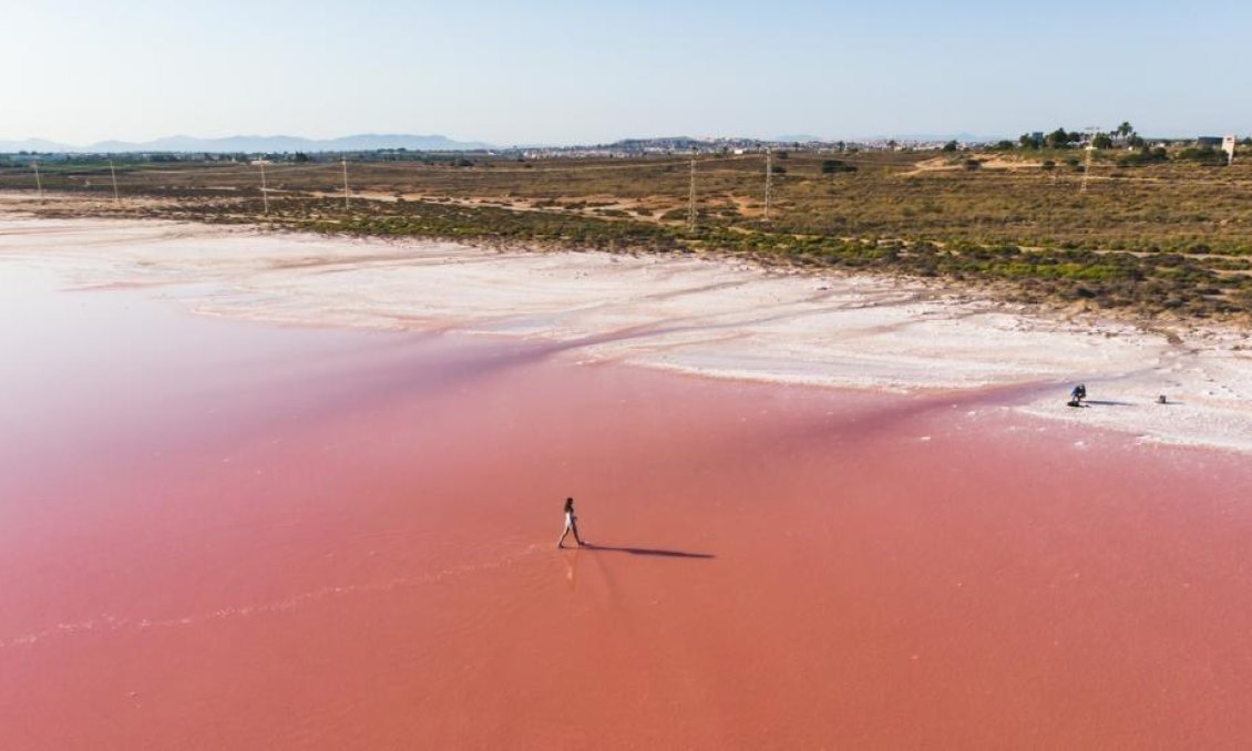 Új építésű - Tetőtéri lakás -
Torrevieja - Habaneras