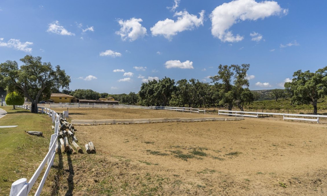 Új építésű - Apartman -
Sotogrande - San Roque Club