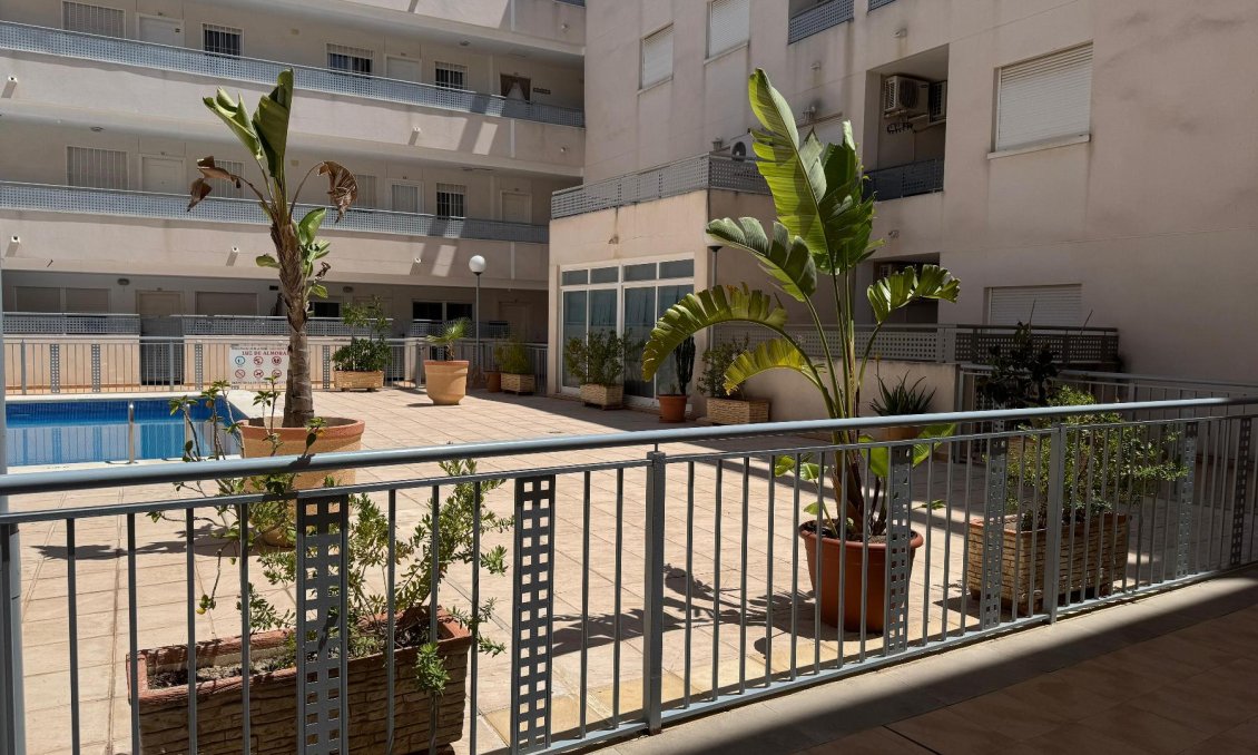 Segunda mano - Apartamento -
Almoradí - Inland