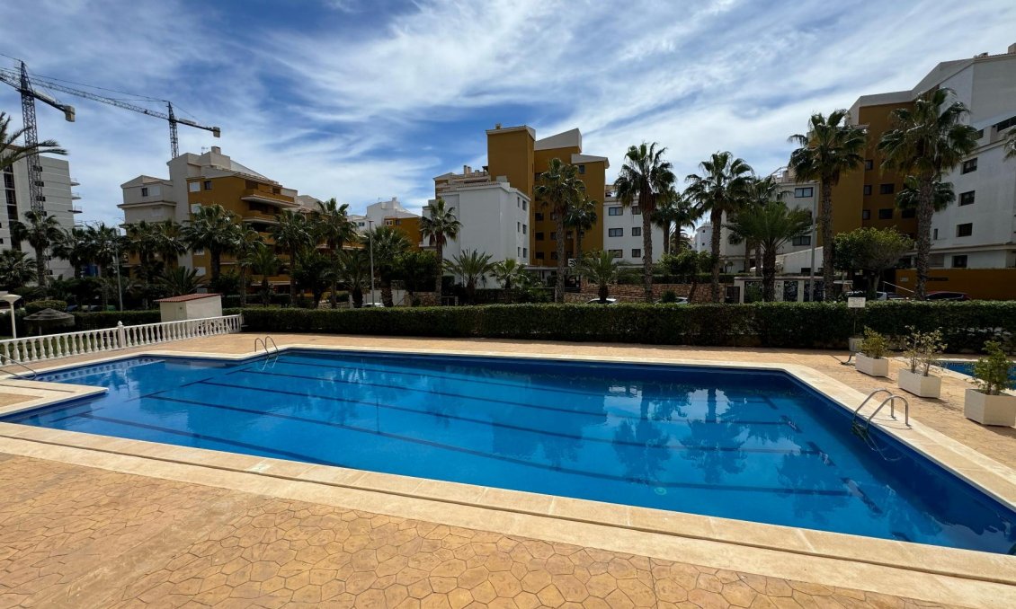 Használt Ingatlanok - Apartman -
Torrevieja - Costa Blanca