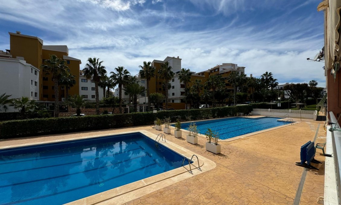 Használt Ingatlanok - Apartman -
Torrevieja - Costa Blanca