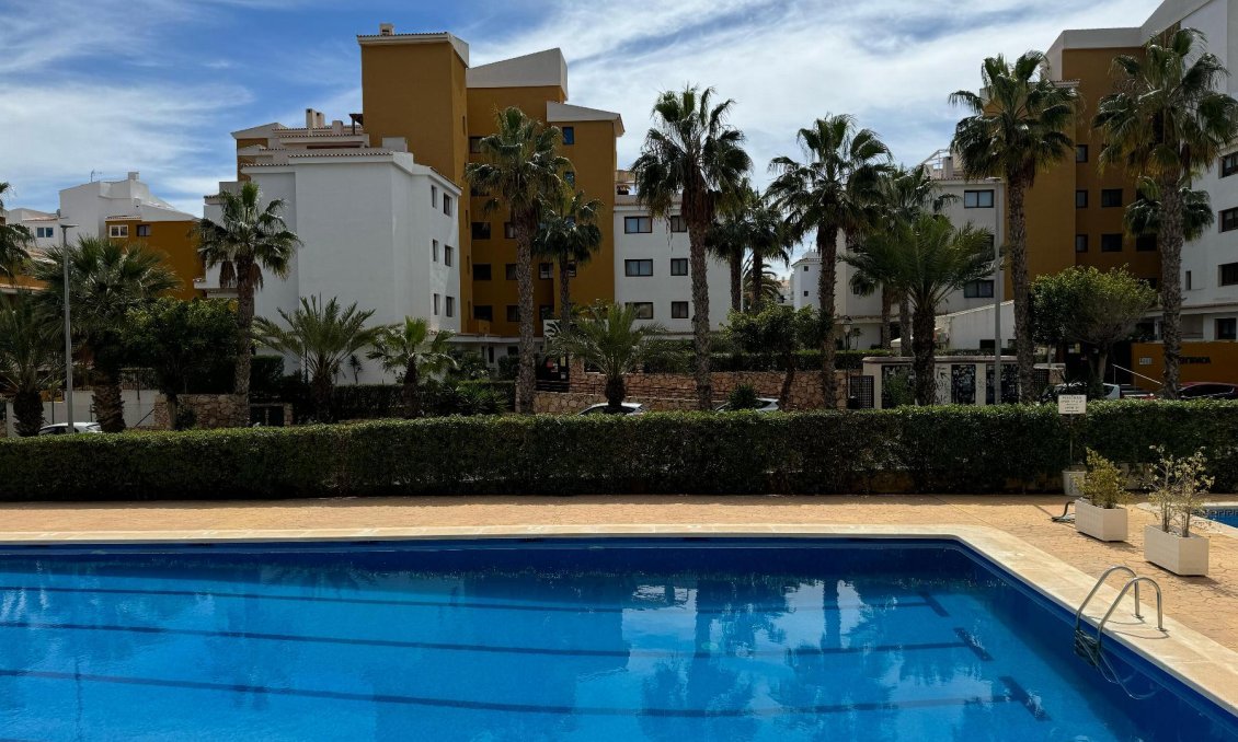 Használt Ingatlanok - Apartman -
Torrevieja - Costa Blanca