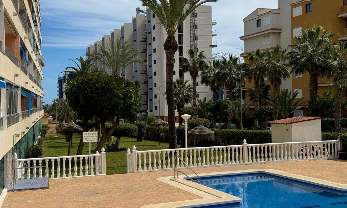Használt Ingatlanok - Apartman -
Torrevieja - Costa Blanca