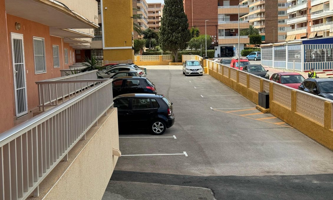 Használt Ingatlanok - Apartman -
Torrevieja - Costa Blanca