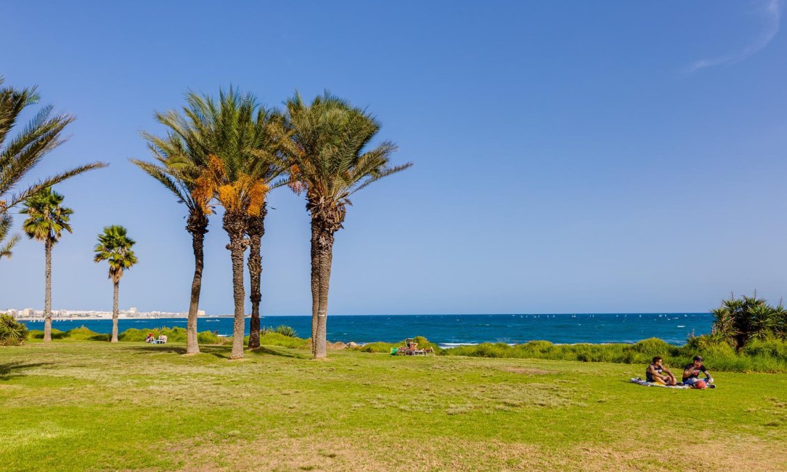 Wiederverkauf - Villa -
Torrevieja - Costa Blanca