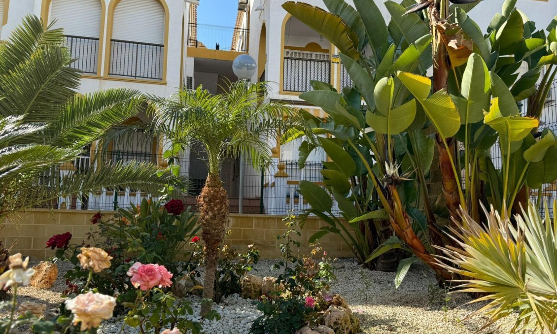 Segunda mano - Bungalow -
Torrevieja - Cañada Del Molino