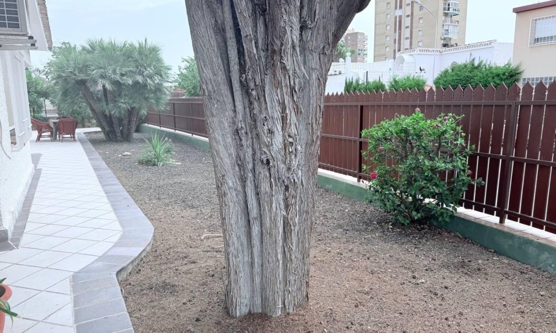 Segunda mano - Villa -
Orihuela Costa - Campoamor