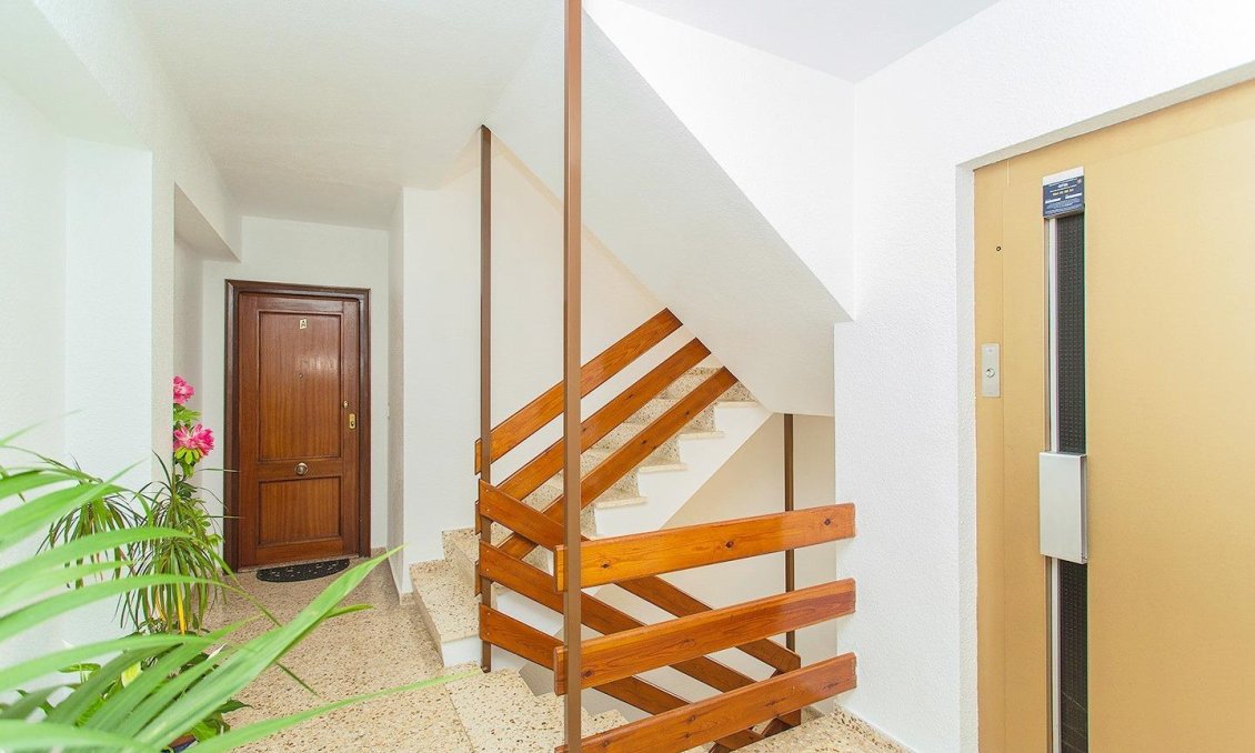 Segunda mano - Apartamento -
Torrevieja - Playa del Cura