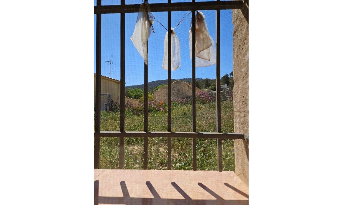 Segunda mano - Town House -
Monóvar/Monóver - Comunidad Valenciana