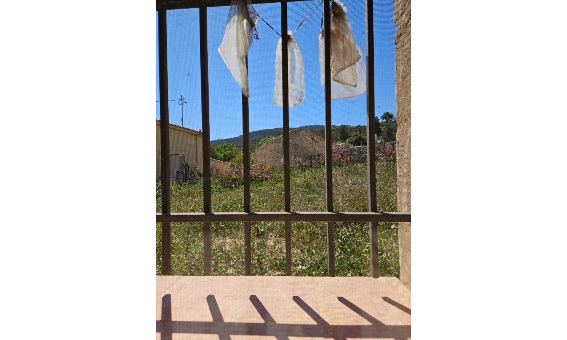 Segunda mano - Town House -
Monóvar/Monóver - Comunidad Valenciana