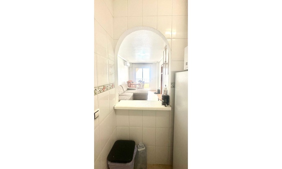 Használt Ingatlanok - Apartman -
Torrevieja - Estacion De Autobuses