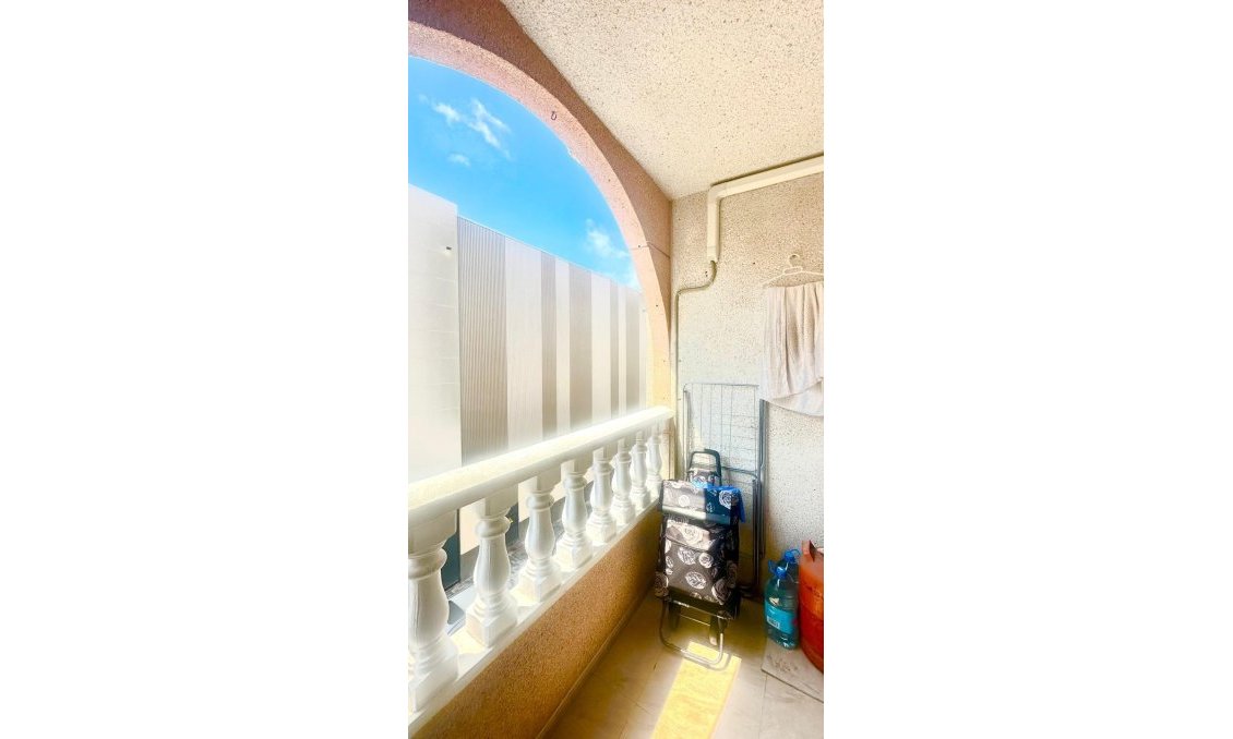 Használt Ingatlanok - Apartman -
Torrevieja - Estacion De Autobuses