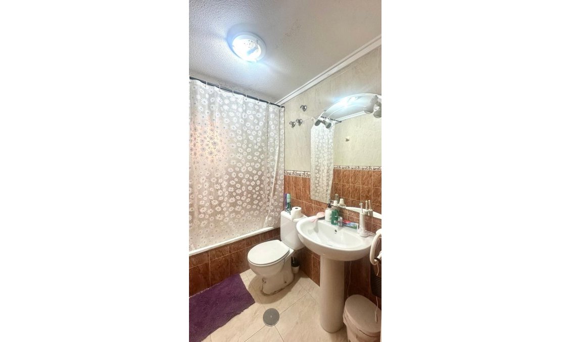 Használt Ingatlanok - Apartman -
Torrevieja - Estacion De Autobuses
