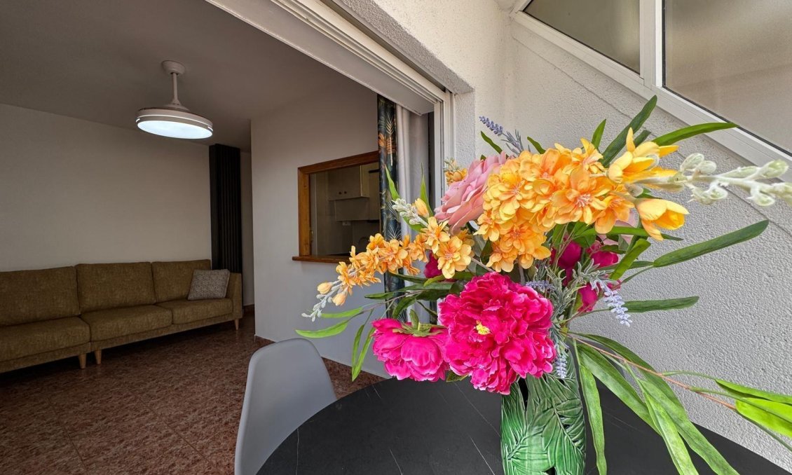 Segunda mano - Apartamento -
Torrevieja - Centro