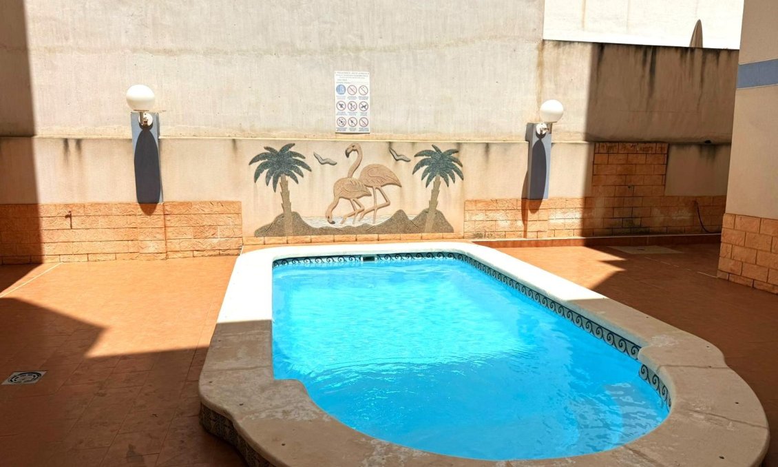 Segunda mano - Apartamento -
Torrevieja - Curva Del Palangre