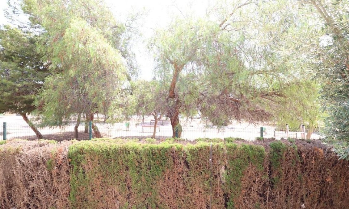 Revente - Bungalow -
Orihuela Costa - Costa Blanca