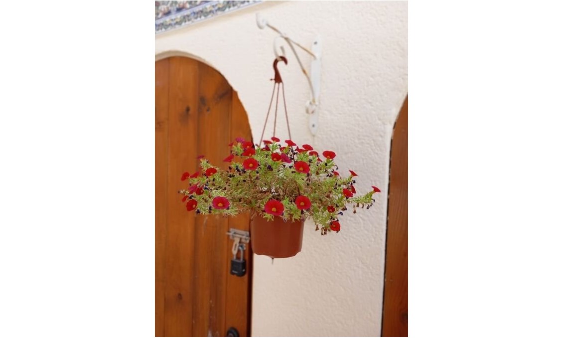 Revente - Villa -
Villamartin - Costa Blanca