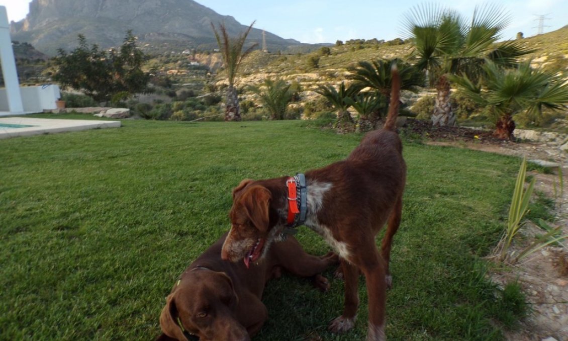 Segunda mano - Villa -
Finestrat - Costa Blanca