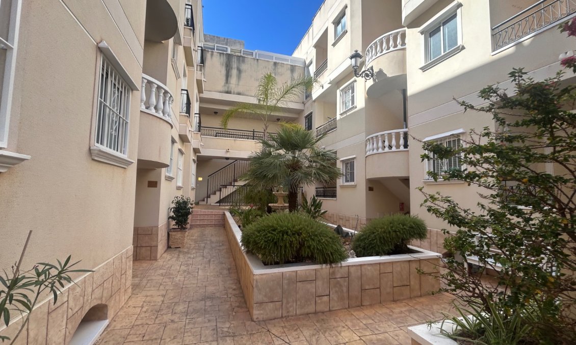 Használt Ingatlanok - Apartman -
Jacarilla - Inland