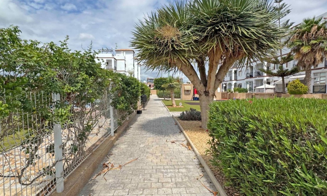 Segunda mano - Apartamento -
Orihuela Costa - Costa Blanca