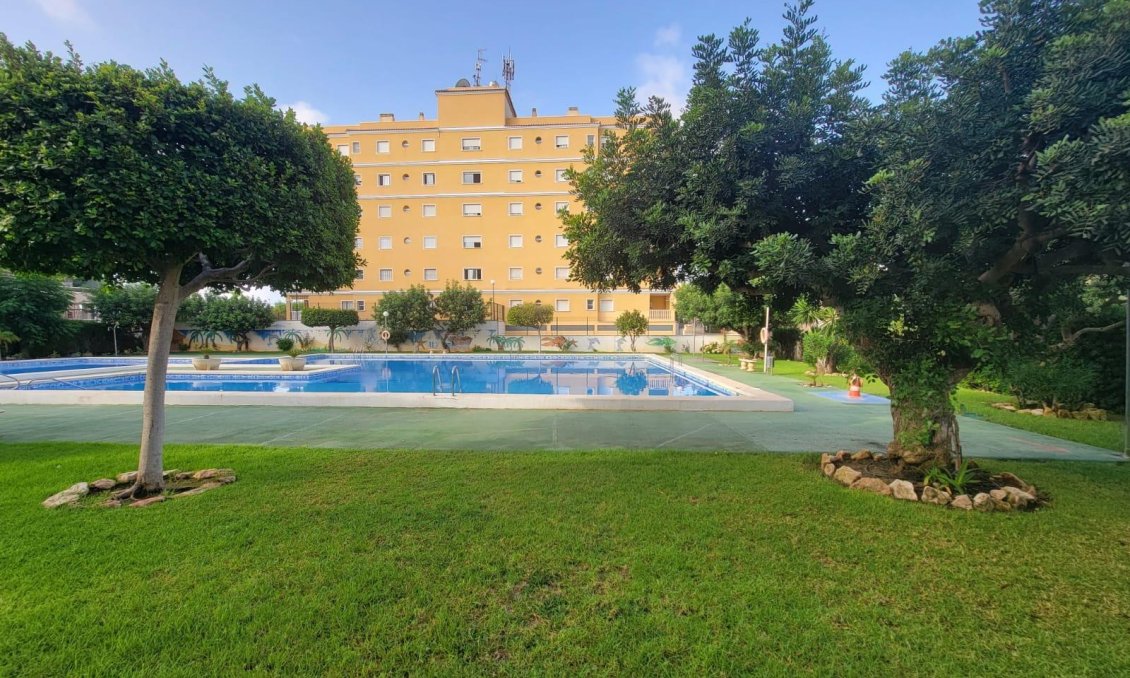 Segunda mano - Apartamento -
Torrevieja - Aguas Nuevas
