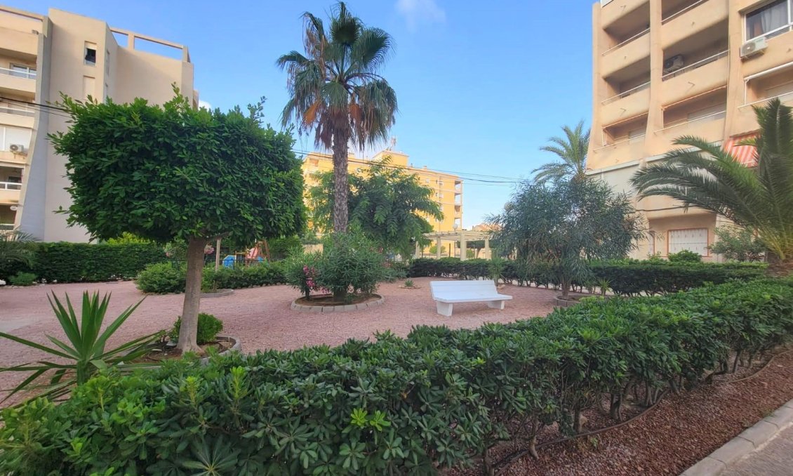 Segunda mano - Apartamento -
Torrevieja - Aguas Nuevas