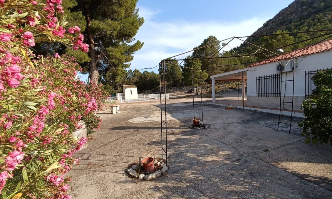 Revente - Villa -
Yecla - Inland