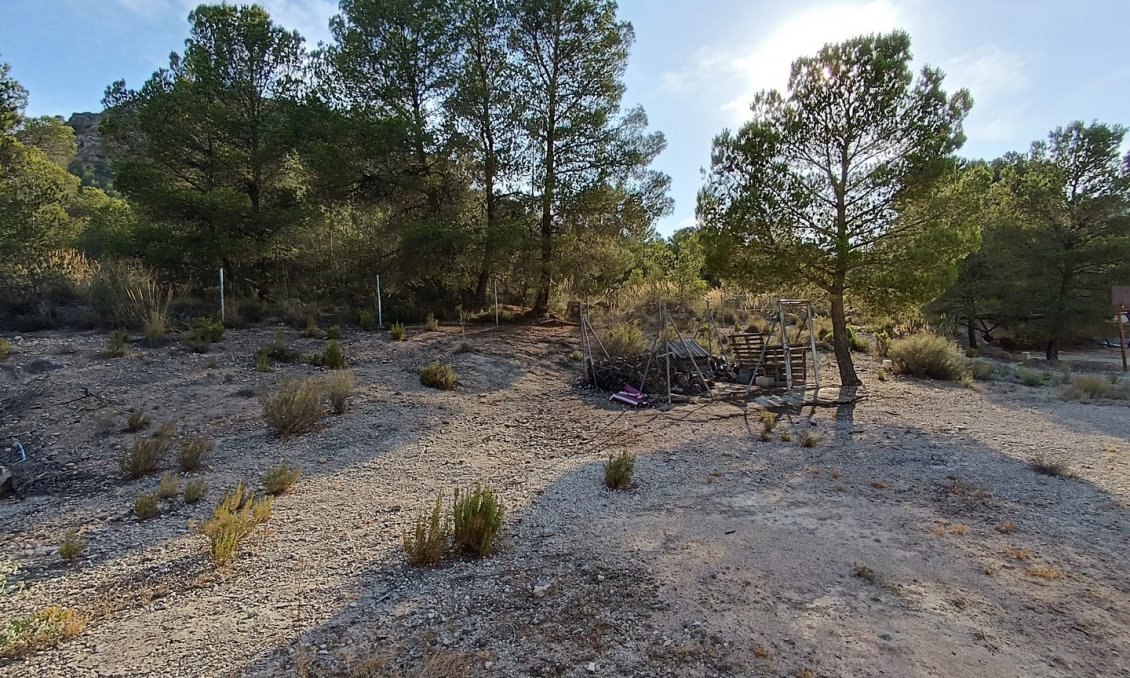 Revente - Villa -
Yecla - Inland