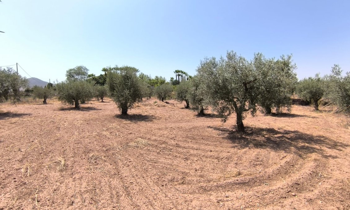 Wiederverkauf - Villa -
Jumilla - Inland