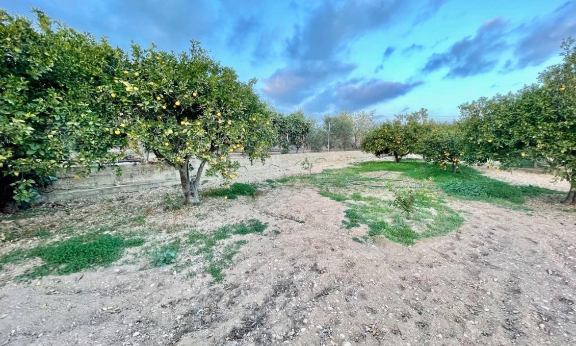 Resale - Villa -
Benidorm - Salto Del Agua