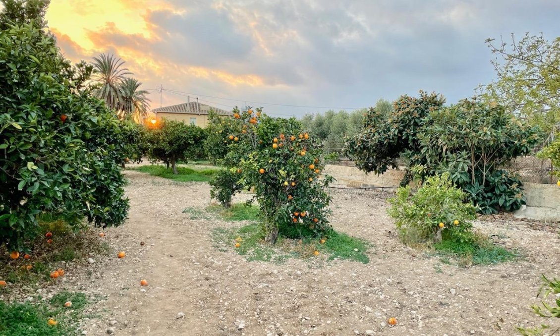 Resale - Villa -
Benidorm - Salto Del Agua