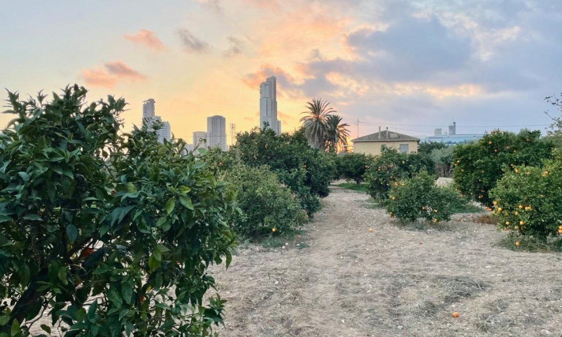 Resale - Villa -
Benidorm - Salto Del Agua