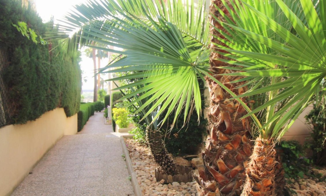 Wiederverkauf - Wohnung -
Torrevieja - Costa Blanca