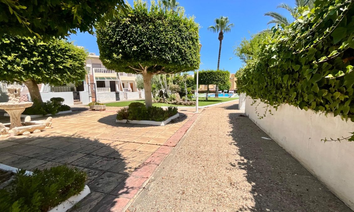 Segunda mano - Bungalow -
Torrevieja - Torreblanca