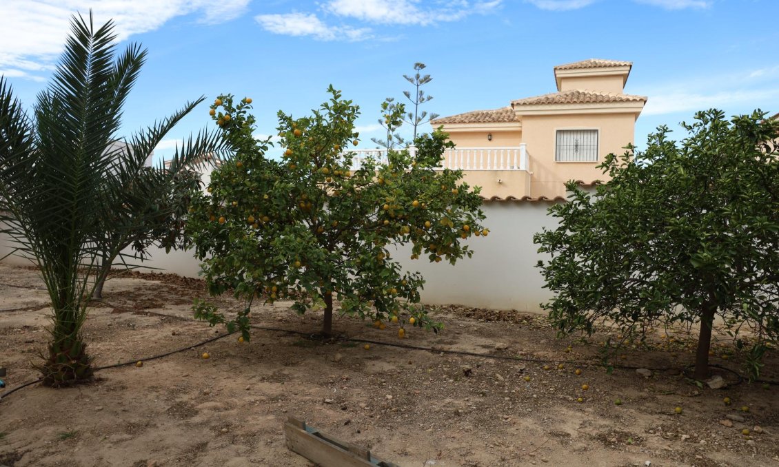Segunda mano - Villa -
Ciudad Quesada - Costa Blanca Sur