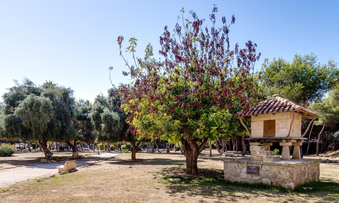 Revânzare - Apartament -
Torrevieja - El Acequión - Los Náufragos