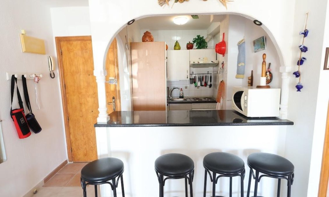 Használt Ingatlanok - Apartman -
Torrevieja - Costa Blanca