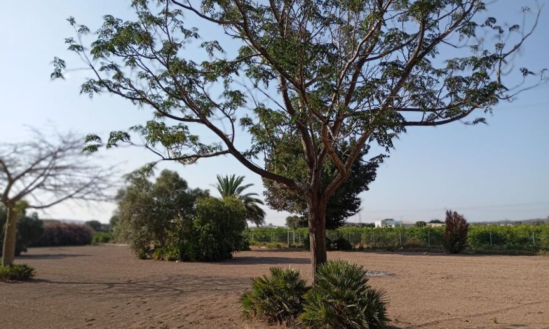 Revânzare - Vilă -
Daya Nueva - Costa Blanca