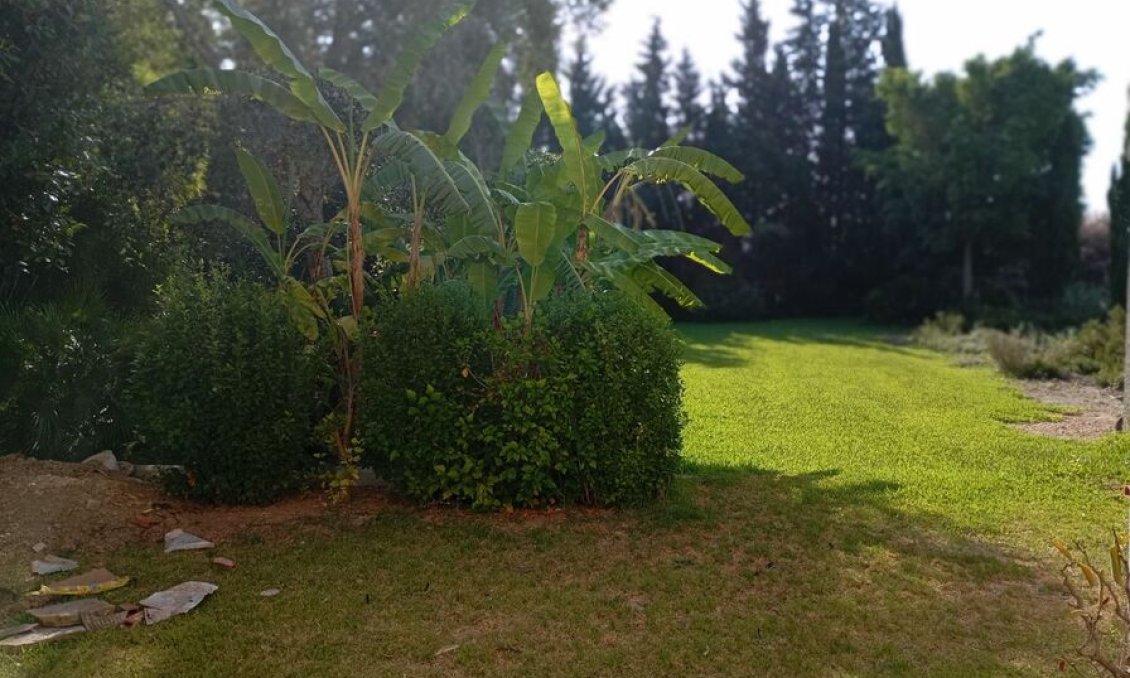 Revânzare - Vilă -
Daya Nueva - Costa Blanca