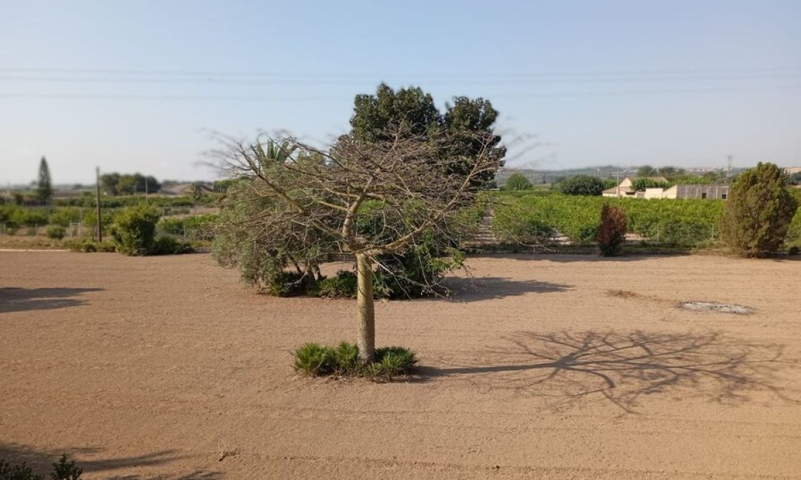 Revânzare - Vilă -
Daya Nueva - Costa Blanca