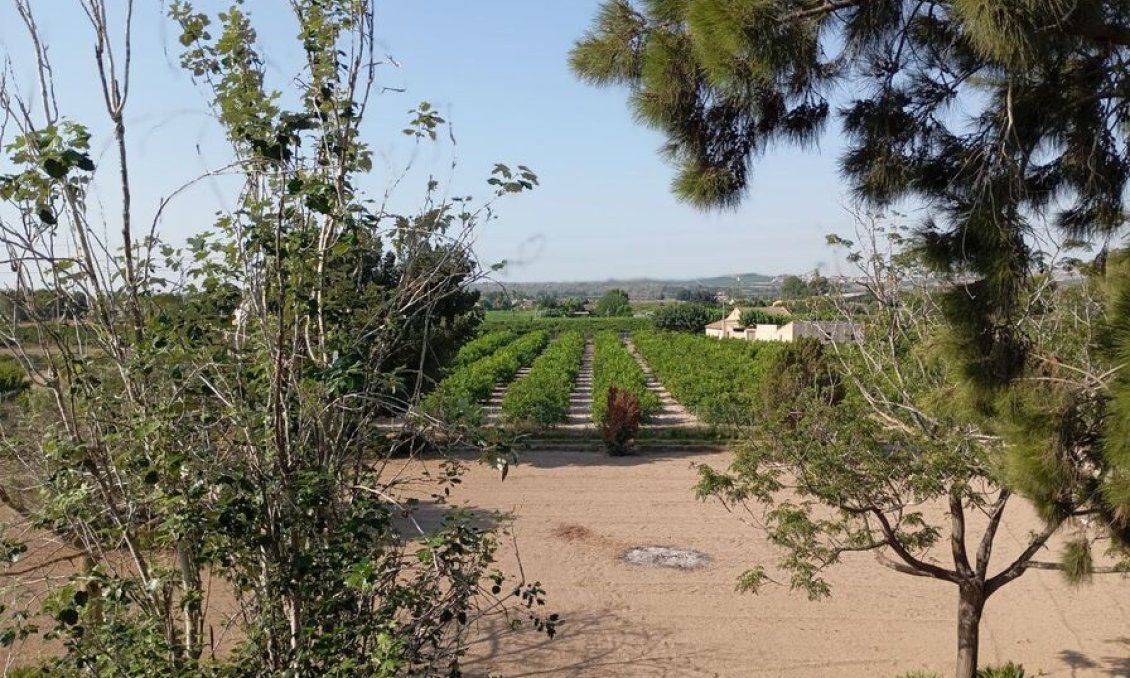 Revânzare - Vilă -
Daya Nueva - Costa Blanca