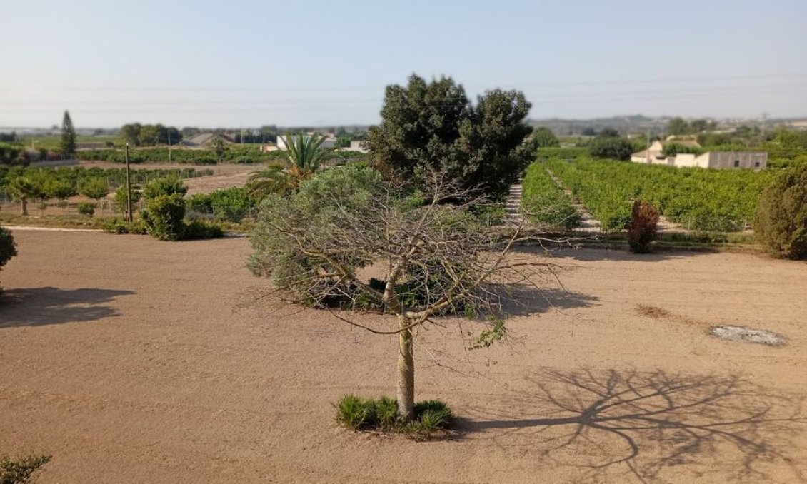 Revânzare - Vilă -
Daya Nueva - Costa Blanca