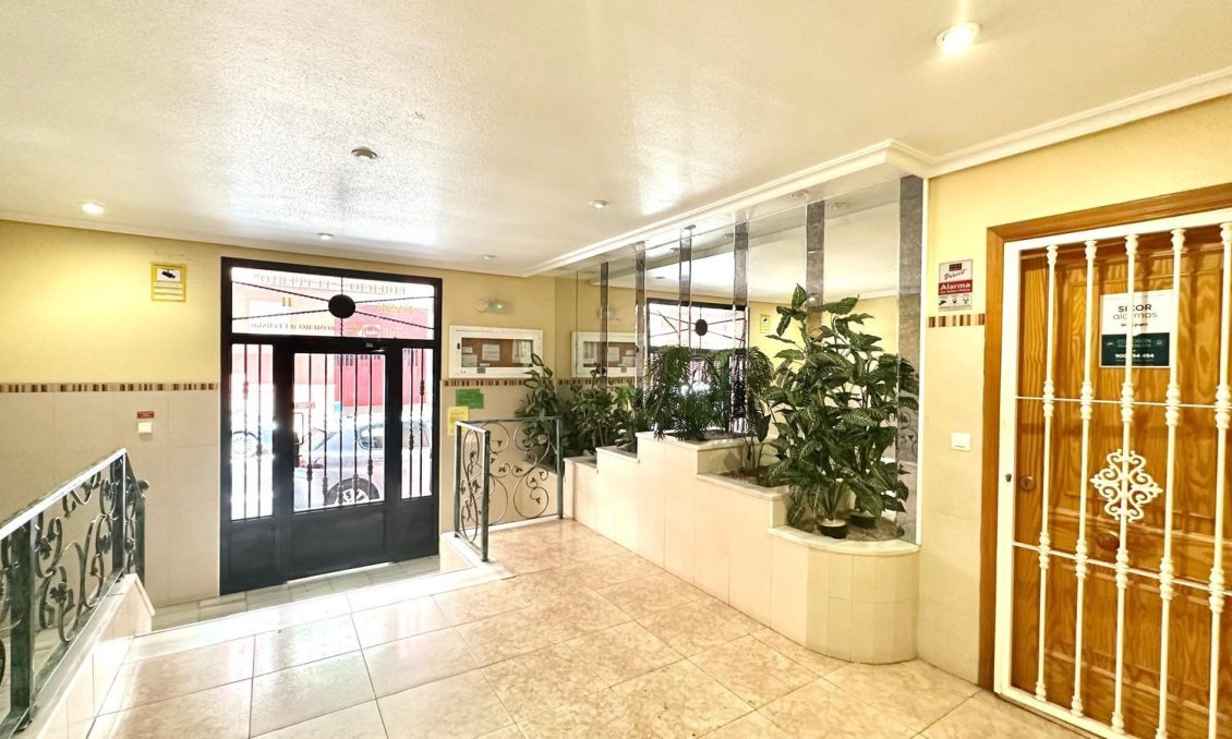 Segunda mano - Apartamento -
Torrevieja - Centro