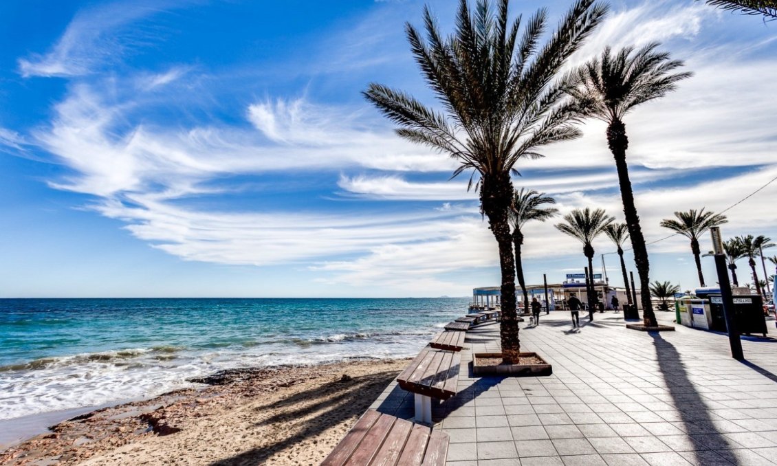 Használt Ingatlanok - Apartman -
Torrevieja - Costa Blanca